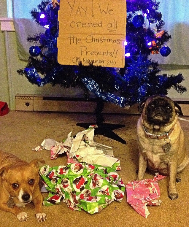 Image result for dogs christmas gifts shaming
